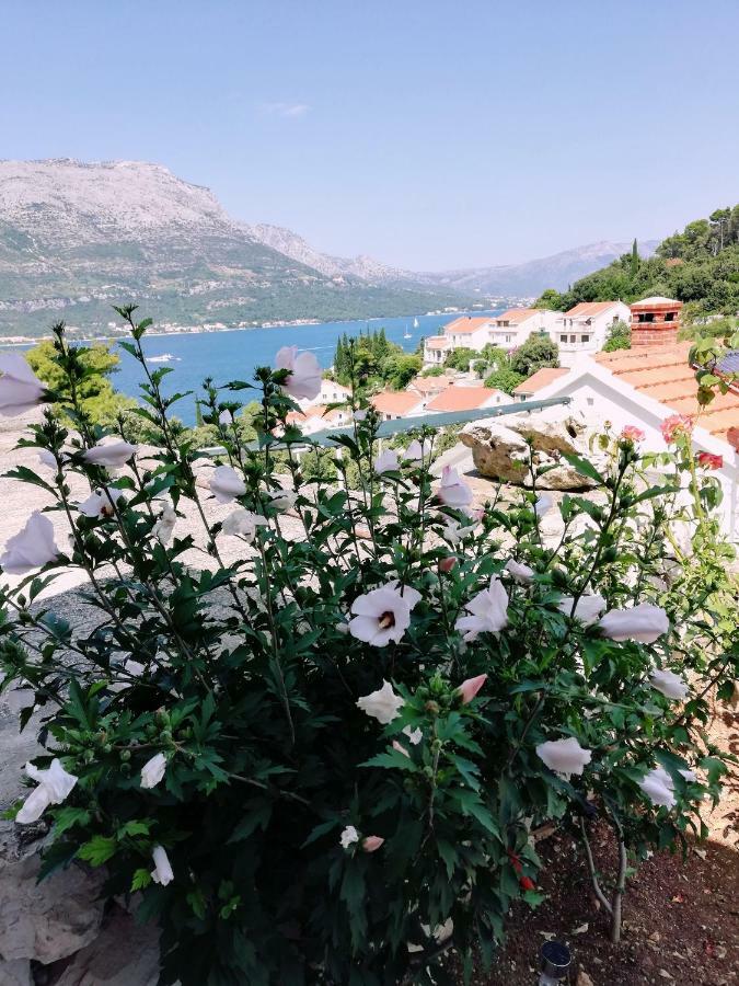 Amore Korcula Town Exterior foto